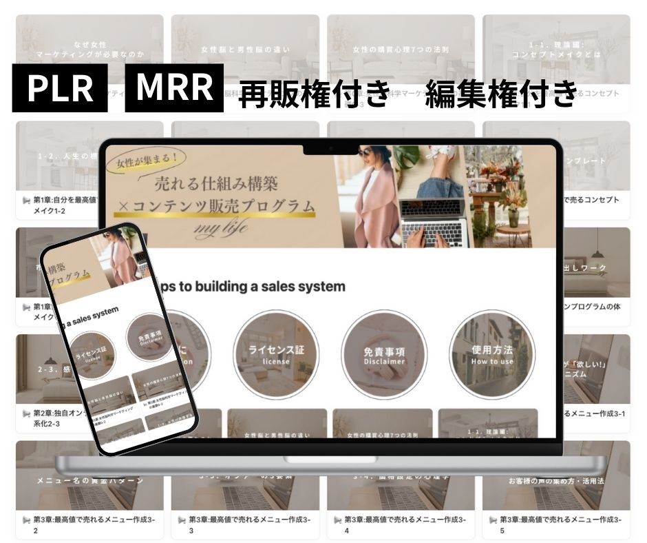 売れる仕組み構築×コンテンツ販売プログラム
